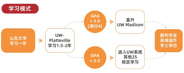 山东大学留学